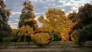 Maisons de vacances Chateau Marteret : photos des chambres