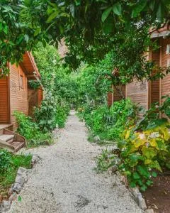 Sheriff, Olympos - Kumluca