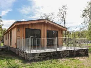 Blackthorn Copse - Haverthwaite