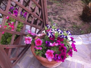 Torre Del Pozzo img16