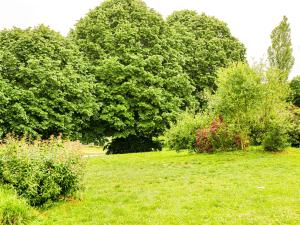 Hotel du Parc - Chantepie