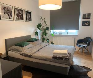 Apartament Luna