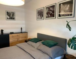 Apartament Luna