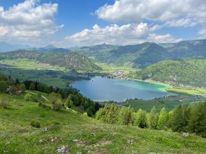 Herzi Chalet - top ausgestattet, neu, chic und sehr gemütlich