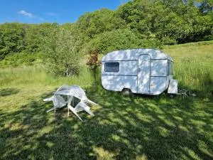 Camping La Fôret du Morvan Vintage caravan - Onlay