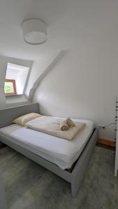 LIBORIA III Wohnen im Denkmal Augsburgs