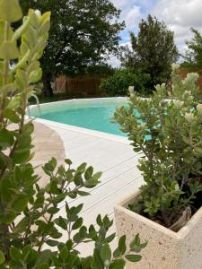 TRULLO ELVIRA & LUIGI