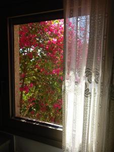 Ifigenias Rooms