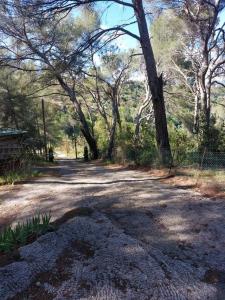 Maisons de vacances Joli chalet sous les pins sur les hauteurs de NICE : photos des chambres