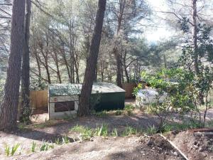 Maisons de vacances Joli chalet sous les pins sur les hauteurs de NICE : photos des chambres