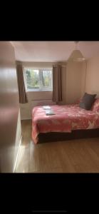 Haven of Trees - Hafan Y Coed