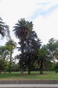 Excelente piso en el corazón de Palermo -5 PAX-