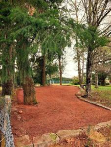 Maisons de vacances Le domaine lyonnais pour groupe : photos des chambres