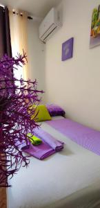 Montenegrina apartment