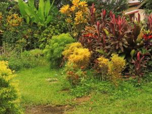 Maylyn Guesthouse