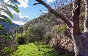 Maisons de vacances Stunning home in Olargues w/ 2 Bedrooms : photos des chambres