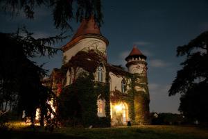 Maisons de vacances Chateau Marteret : photos des chambres