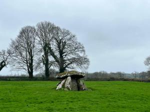 The Wandering Donkey Guest House