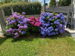 Vendée - Petite Maison de Vacances