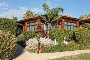 Between Water and Sky - Afik