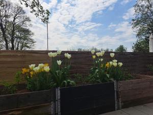 Hyggelig ferielejlighed ved Givskud