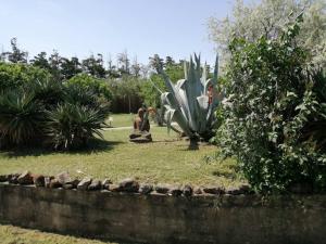 B&B / Chambres d'hotes MAS MAURANE-Roulotte avec SPA prive : photos des chambres