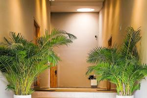 Las Lomas Luxury House