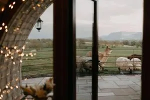 Owl Hollow - Four Crosses Owl Hollow - Four Crosses