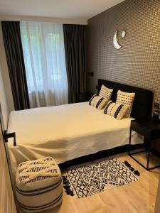 Apartament Śródmieście