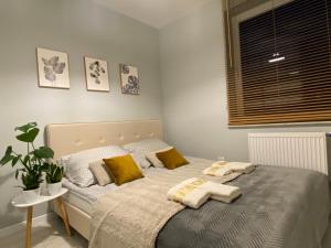 Apartament nad jeziorem