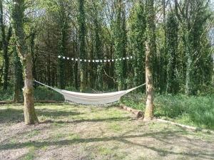 Tentes de luxe tente nature : Tente