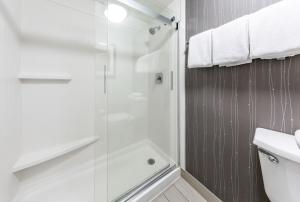 Double Room with Two Double Beds room in Courtyard Laredo