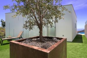 Villa da Silva (Heated Pool and Private Parking)