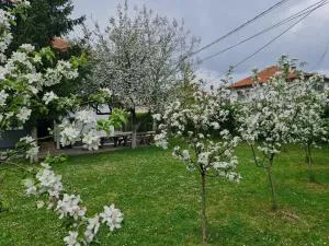 Green Garden Apartment - Hrasnica