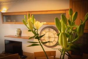 Fantástico apartamento de 1 habitación en El Pris