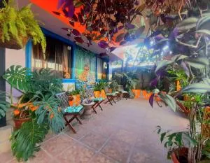 Nirvana Apartament Hostal - Desamparados