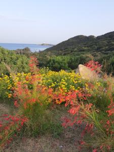 Villa ValePina img43