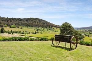 Quins Gap Escapes