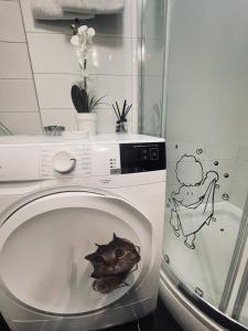 Apartments with WiFi Split - 21347