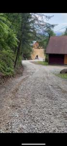Dollywood! Dancing Bear 3-Bear Tracks-Newly Renovated