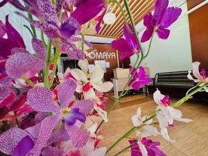 Cocoon Omaya Guest House