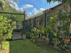 ComeHome Lamphun - Ban Nong Lum