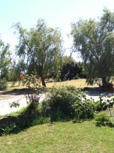 Agriturismo Il Paradiso img51