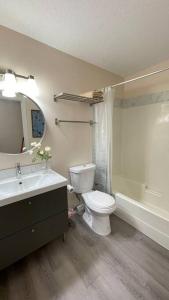 unit #303 Mountain view 1BR in Canmore DownTown