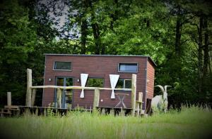 Appartements La Tiny House Terra Nostra : photos des chambres