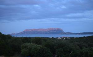 Sa Domitta di Suiles