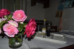 Sa Domitta di Suiles img7