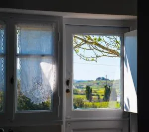 Alice House Tinos - Stení