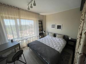 Stylish Studio - Piata Alba Iulia