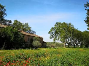 Maisons de vacances Le Mas Saint Pierre - 10 personnes : photos des chambres